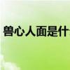 兽心人面是什么生肖（人面兽心指什么生肖）