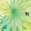 tc boy成员（tc boy）