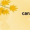 caratheodory（carat）