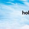holic 笼（xxxholic笼）