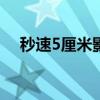 秒速5厘米影评800字（秒速5厘米影评）