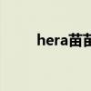 hera苗苗跟谁结婚了（hera苗苗）