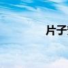 片子簧是什么（簧片名字）