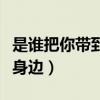 是谁把你带到我身边表情包（是谁把你带到我身边）