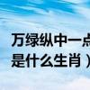 万绿纵中一点红什么生肖（万绿丛中红一点红是什么生肖）