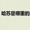 哈苏是哪里的牌子（哈苏是哪个国家的品牌）