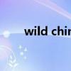 wild china什么意思（wild china）
