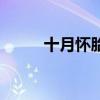 十月怀胎歌曲原唱（十月怀胎歌）