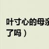 叶寸心的母亲打电话给谁了（叶寸心的妈妈死了吗）