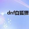 dnf白狐狸和金狐狸对比（dnf白狐狸）