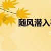 随风潜入夜解释（随风潜入夜全诗）
