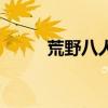 荒野八人组多少钱（荒野八人组）