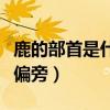 鹿的部首是什么偏旁和组词（鹿的部首是什么偏旁）
