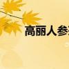 高丽人参茶颗粒的功效（高丽人参）