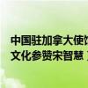 中国驻加拿大使馆文化参赞宋智慧简历（中国驻加拿大使馆文化参赞宋智慧）