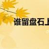 谁留盘石上的下一句是（谁留盘石上）