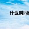 什么叫同位语 英语（什么叫同位语）