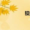 狡的组词（杠的组词）