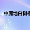 中庭地白树栖鸦的意思(中庭地白树栖鸦) 中庭地白树栖鸦的意思(中庭地白树栖鸦)