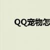 QQ宠物怎么取消（如何取消qq宠物）