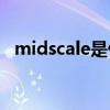 midscale是什么意思（scale是什么意思）