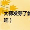 大蒜发芽了能不能吃了（大蒜发芽了还能不能吃）
