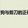 狗与剪刀的正确用法小说结局男主变回人了吗