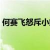 何赛飞怒斥小鲜肉照片（何赛飞怒斥小鲜肉）