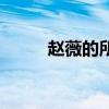 赵薇的所有电影（赵薇电影全集）