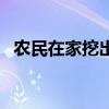 农民在家挖出了鱼泉（农户挖出神秘鱼泉）