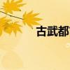 古武都市行叶非（古武都市行）