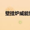 壁挂炉威能好还是博世好（壁挂炉 威能）