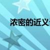 浓密的近义词是什么词（浓郁的近义词）