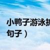 小鸭子游泳扩写句子一年级(小鸭子游泳扩写句子) 小鸭子游泳扩写句子一年级(小鸭子游泳扩写句子)