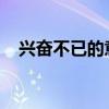 兴奋不已的意思是啥迫不及待的意思是啥