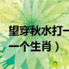 望穿秋水打一个生肖动物幸运色（望穿秋水打一个生肖）