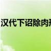 汉代下诏除肉刑是汉武帝改革刑制的一次措施