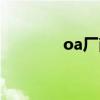 oa厂商有哪些（oa供应商）