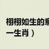栩栩如生的意思解释是什么生肖（栩栩如生打一生肖）