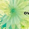 overnight vitalizing