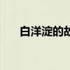 白洋淀的故事读后感（白洋淀的故事）
