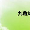 九角龙鱼好养吗（九角龙鱼）