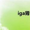 iga肾病治疗方案（iga肾病）