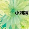 小刺猬耳放相位（小刺猬耳放）