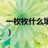 一枚枚什么填空量词三年级（一枚枚什么填空）