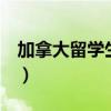 加拿大留学生 笑气 猝死（留学生吸笑气成瘾）