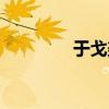于戈美容瑜伽（美容瑜伽）