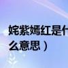 姹紫嫣红是什么意思解释一下（姹紫嫣红是什么意思）