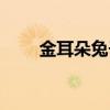 金耳朵兔子微博道歉（金耳朵兔子）