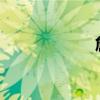 詹10鼓包（詹10）